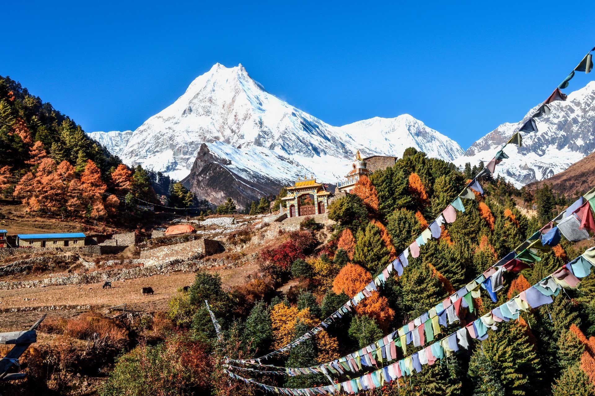 Stunning views of Mount Manaslu